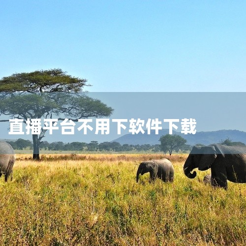 免费直播软件推荐合集|不用下载就可以看的直播|成都直播软件开发|