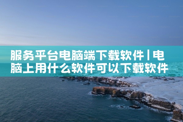 服务平台电脑端下载软件