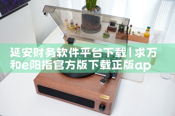 延安财务软件平台下载