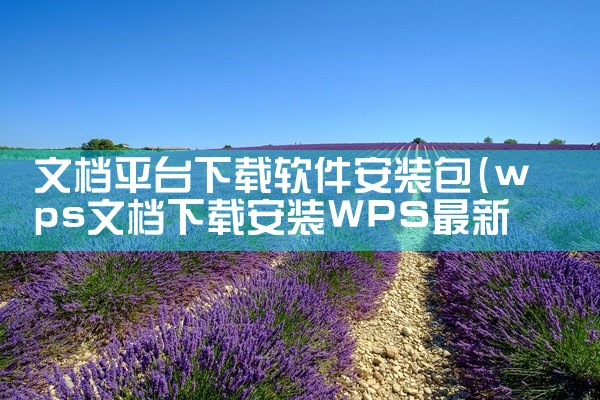 文档平台下载软件安装包