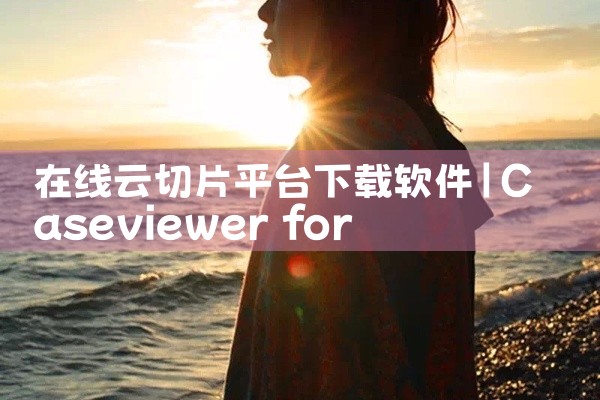 在线云切片平台下载软件