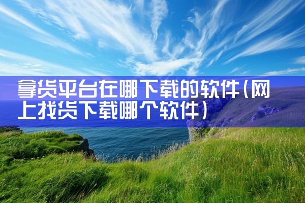 拿货平台在哪下载的软件