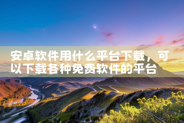 安卓软件用什么平台下载