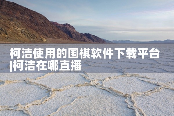 柯洁使用的围棋软件下载平台