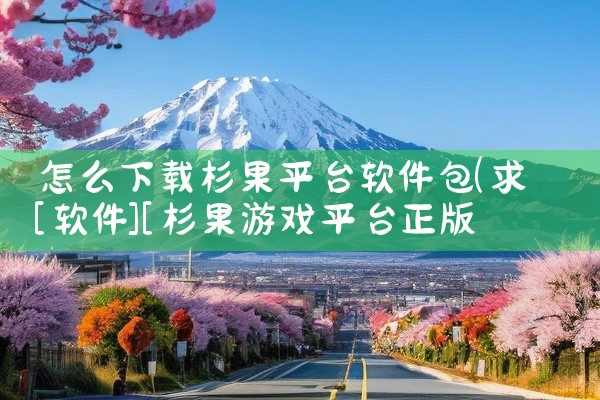 怎么下载杉果平台软件包