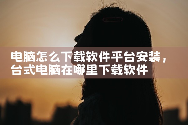 电脑怎么下载软件平台安装