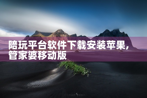 陪玩平台软件下载安装苹果