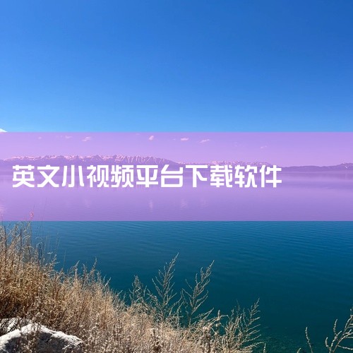 tubemate软件介绍,youtube视频下载软件(ytdlp-interface)和字幕下载网站推荐——downsub.c...,