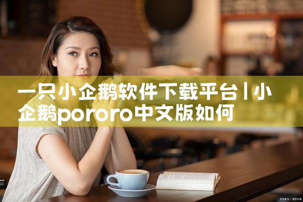 一只小企鹅软件下载平台