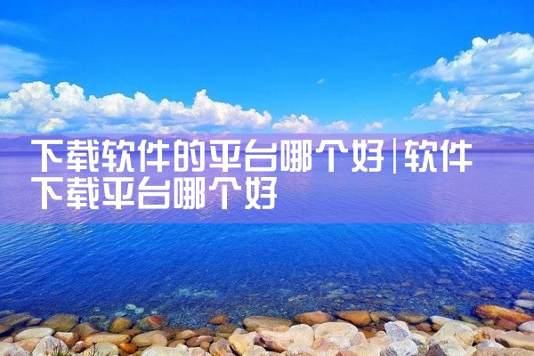 下载软件的平台哪个好