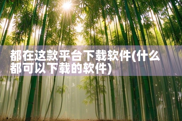 都在这款平台下载软件