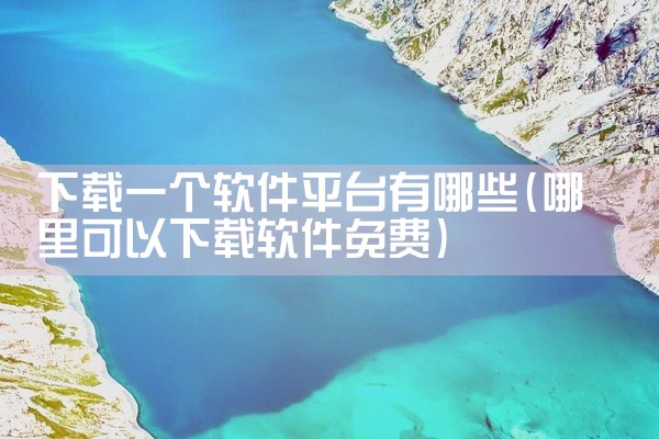下载一个软件平台有哪些