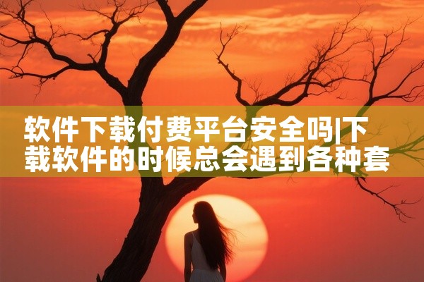 软件下载付费平台安全吗