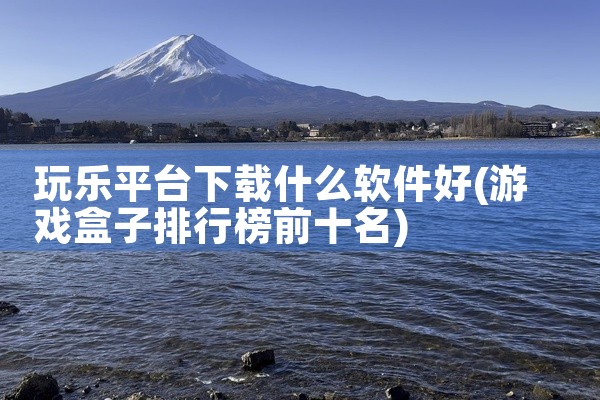 玩乐平台下载什么软件好