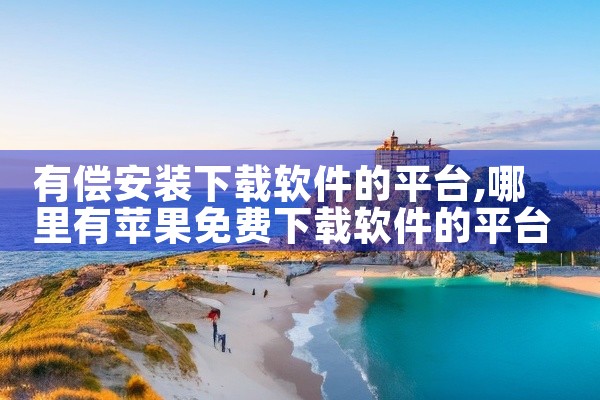 有偿安装下载软件的平台