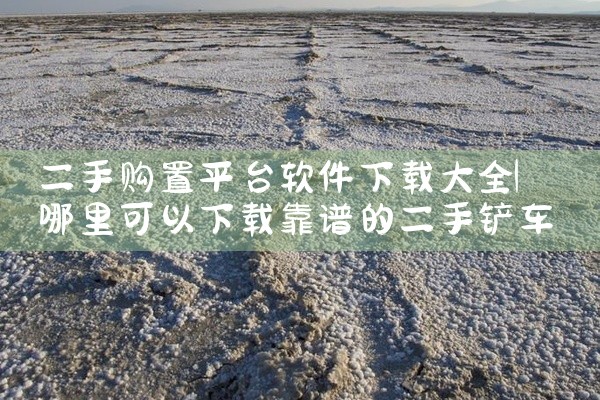 二手购置平台软件下载大全